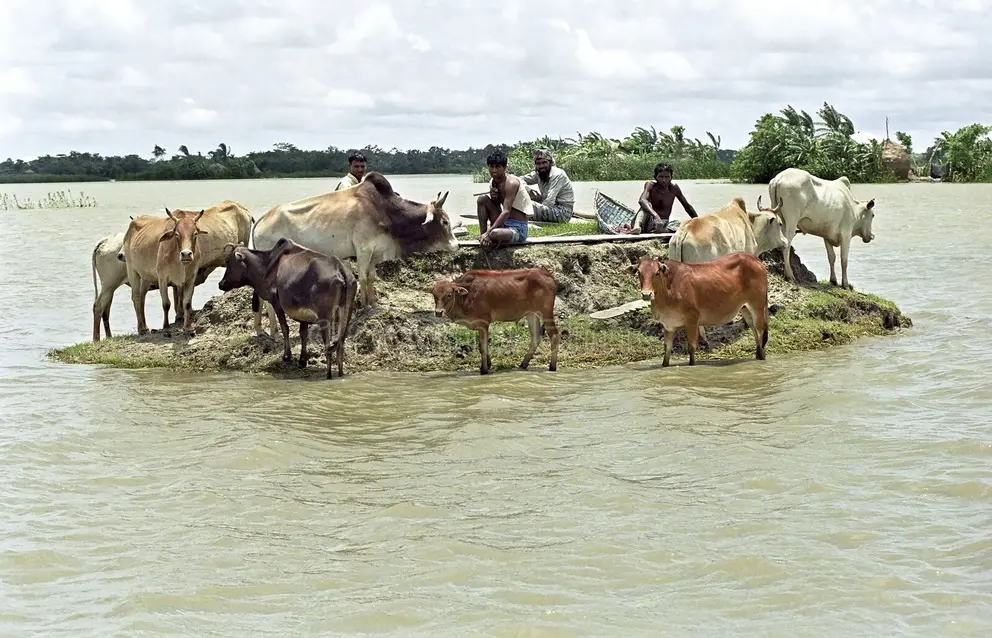 River and floodplain landscape in Bangladesh